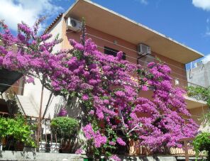 Katica Apartmanok Makarska szálláshely