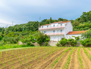 Mirta Apartmanok Palit szálláshely