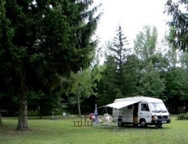 Borostyán Camping és Strandfürdő profil képe - Mezőkovácsháza