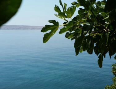 Dalibor - 5 méterre a tengertől parkolóval profil képe - Lukovo Sugarje